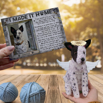 I Made It Home - Custom Crochet Pet Doll with Personalized Card