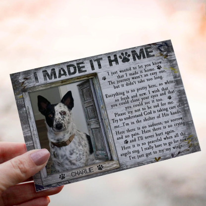 I Made It Home - Custom Crochet Pet Doll with Personalized Card