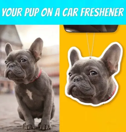 Custom Photo Car Air Freshener – Fun & Personalized Pet Freshener for Car