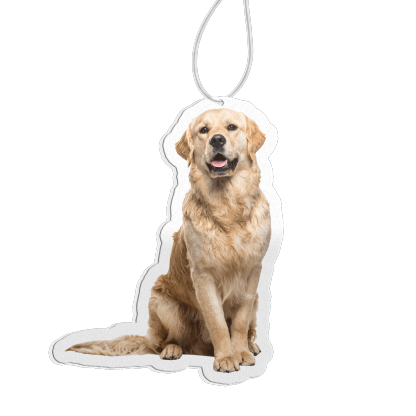 Personalised Custom Car Air Freshener With Your Photo