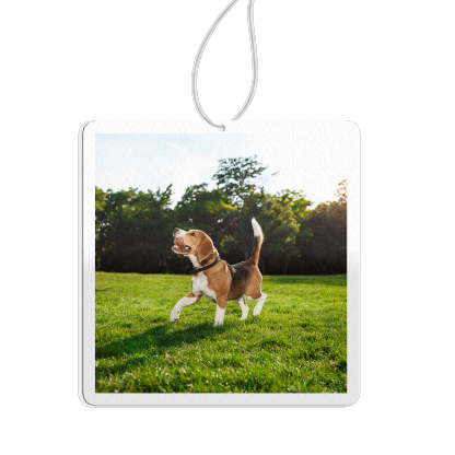 Personalised Custom Car Air Freshener With Your Photo