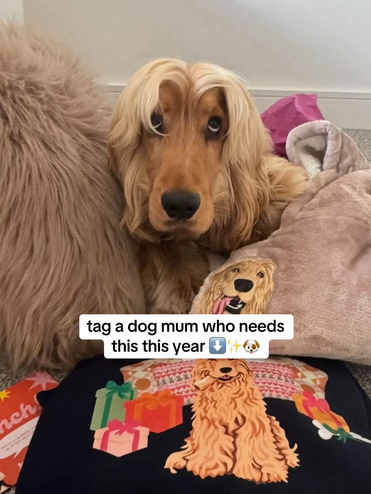 New: Personalization Printed Pet Portrait Organic Christmas Jumper!