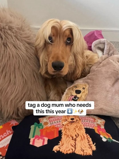 New: Personalization Printed Pet Portrait Organic Christmas Jumper!