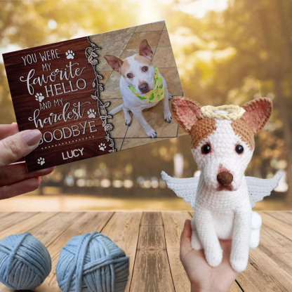 You Were My Favorite Hello - Custom Crochet Dog Doll with Personalized Card