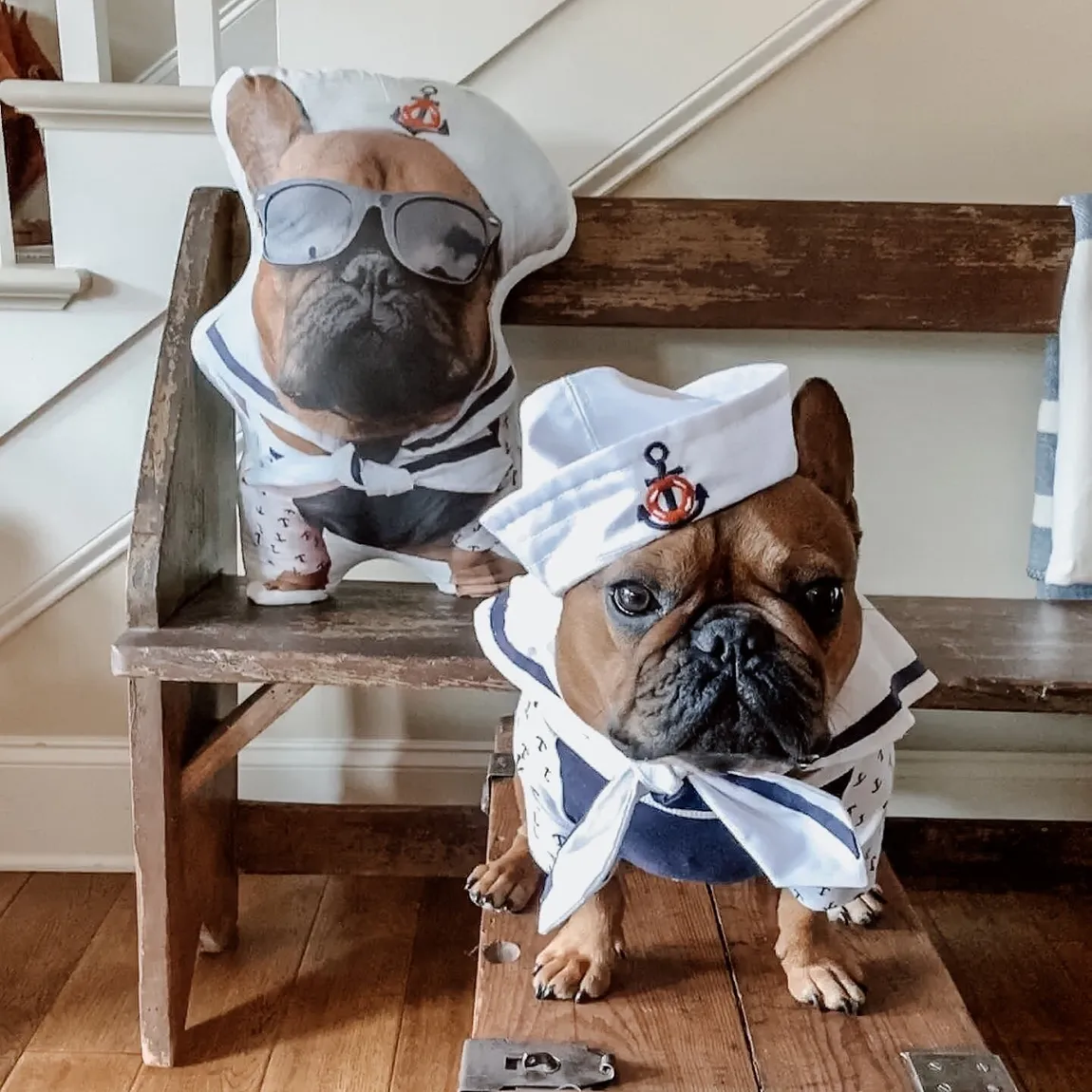Create Your Own Custom Pet Pillow