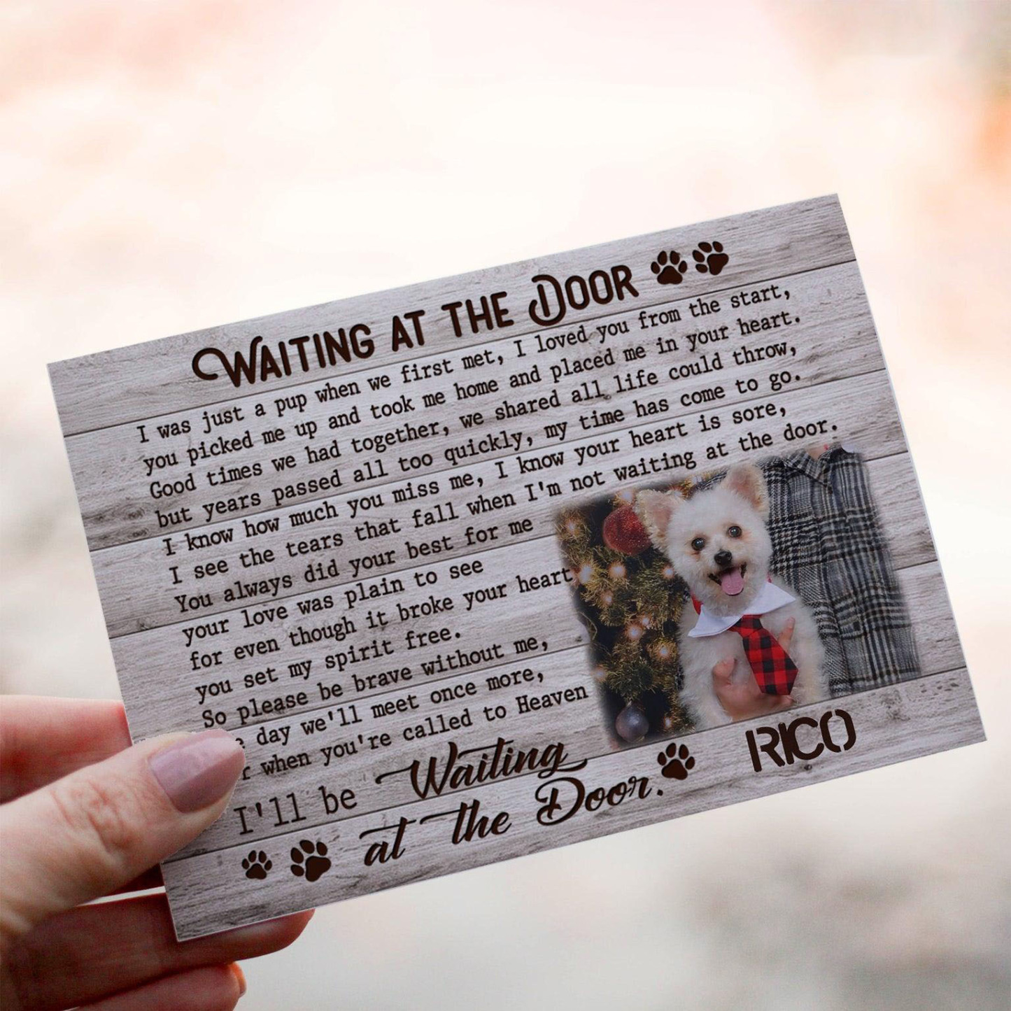 Waiting At The Door- The Best Furry Keepsake - Custom Crochet Pet Doll