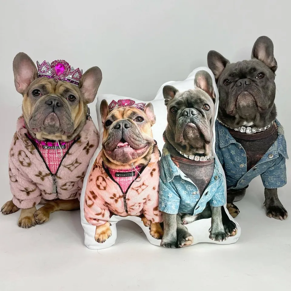 Create Your Own Custom Pet Pillow