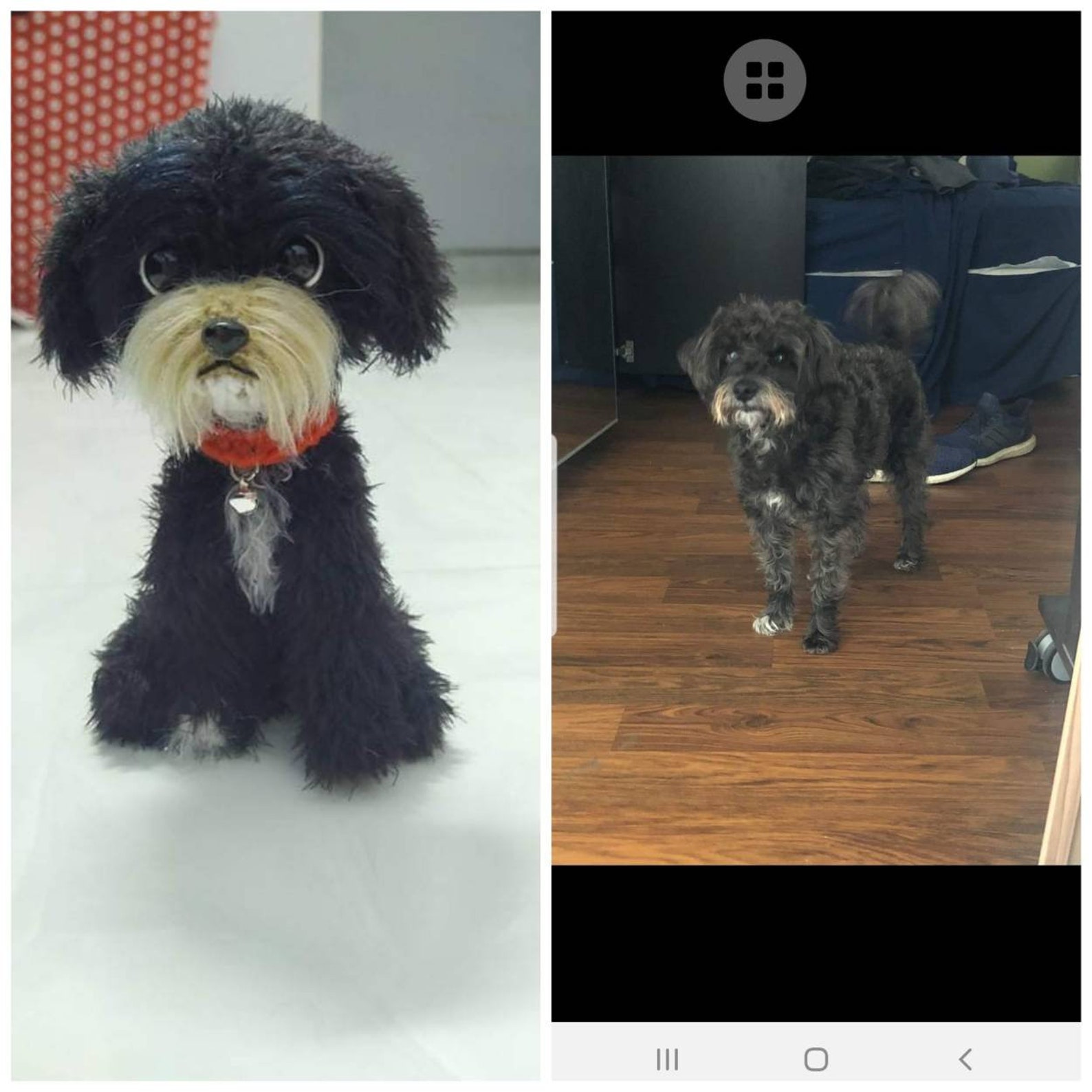 Custom Crochet Dog Crochet Pet Memorial Gift for Dog Lovers