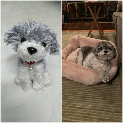 Custom Crochet Dog Crochet Pet Memorial Gift for Dog Lovers