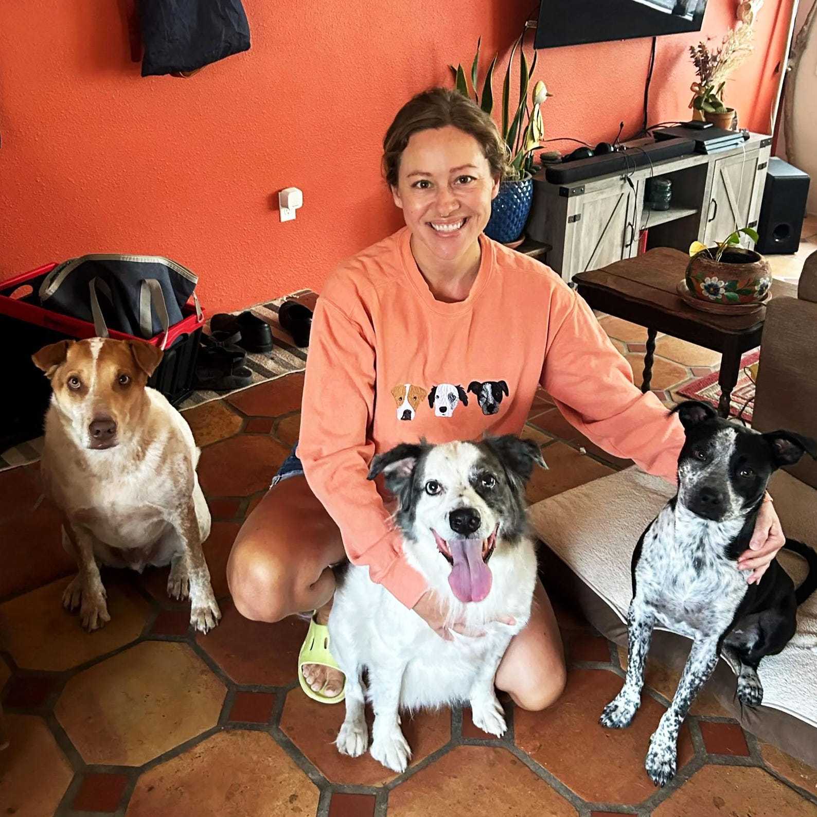 [Copy]Personalized Pet Portrait Embroidery Sweatshirt Hoodie T-shirt