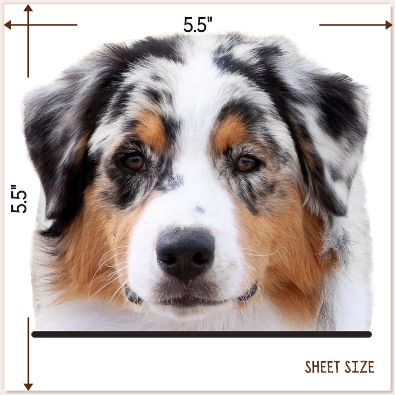 Custom Dog Car Decal From Photo Vinyl Waterproof Removable Outdoor 