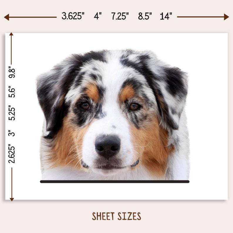 Custom Dog Car Decal From Photo Vinyl Waterproof Removable Outdoor 
