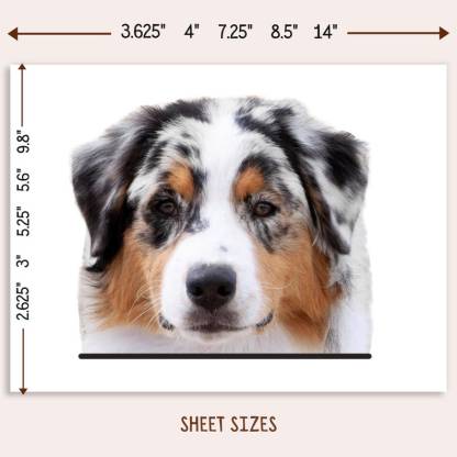 Custom Dog Car Decal From Photo Vinyl Waterproof Removable Outdoor 