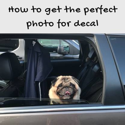 Custom Dog Car Decal From Photo Vinyl Waterproof Removable Outdoor 