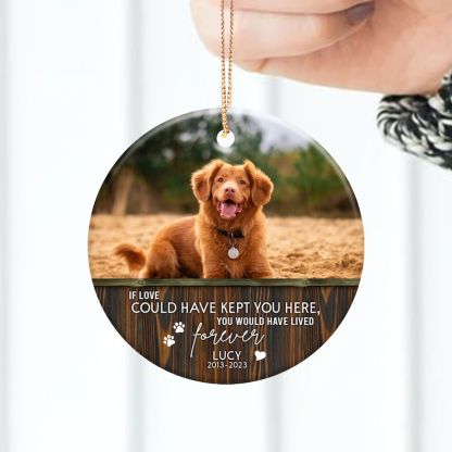 Custom Pet Memorial Ornament Personalized Dog/Cat Memorial Ornament