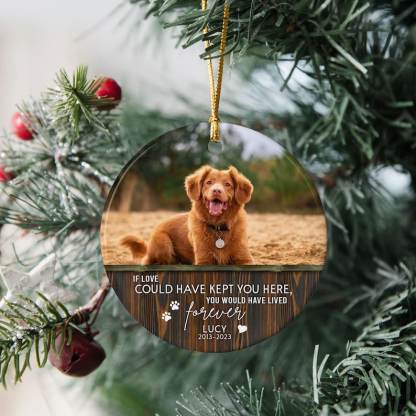 Custom Pet Memorial Ornament Personalized Dog/Cat Memorial Ornament