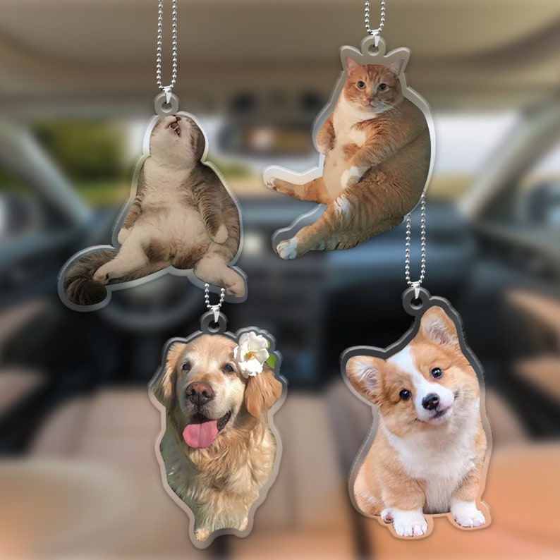 Custom Pet Photo Car Hanging Car Photo Ornament Drive Safe Daddy Customized Cat Photo Car Hanging Car Decor Gift for Dad Car Ornament