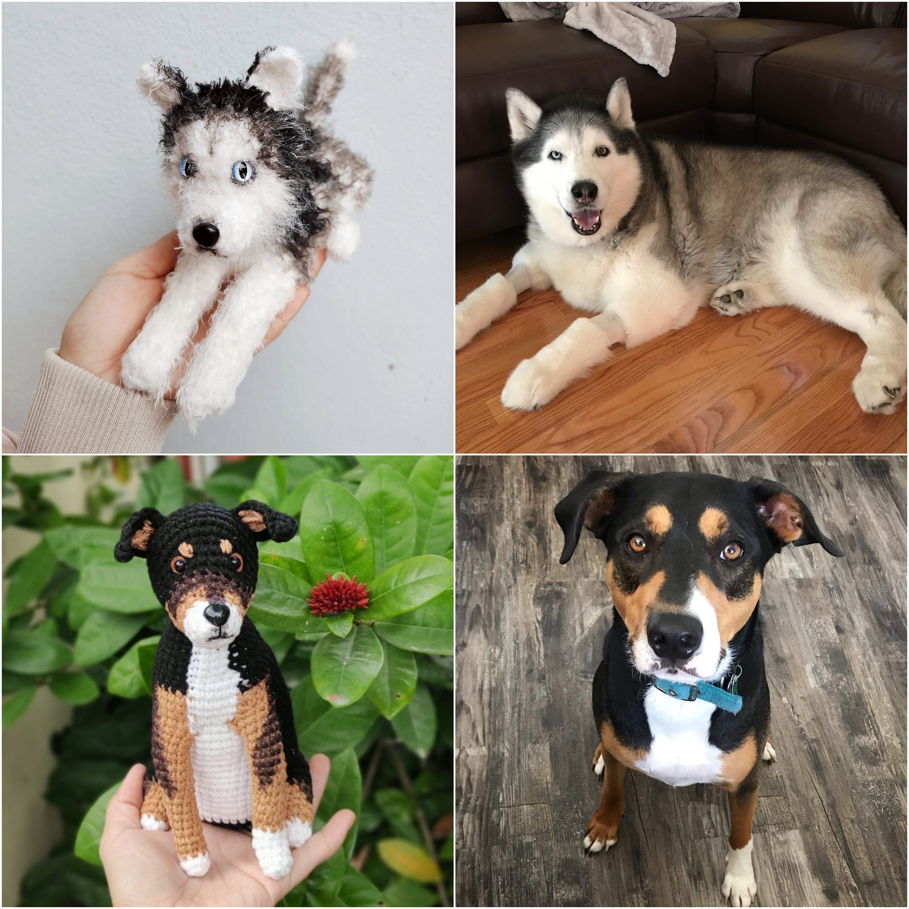 Custom Stuffed Dog Personalized Dog Gift