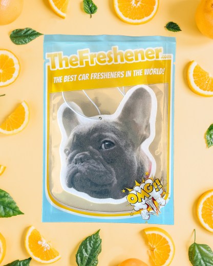 Custom Air Freshener Photo Air Freshener