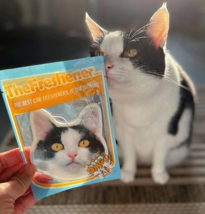 Custom Pet Photo Air Freshener Hanging Air Freshener For Car