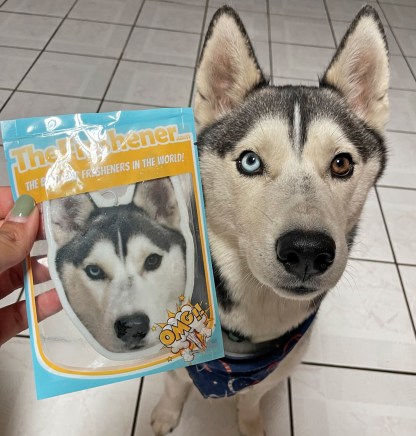 Custom Pet Photo Air Freshener Hanging Air Freshener For Car