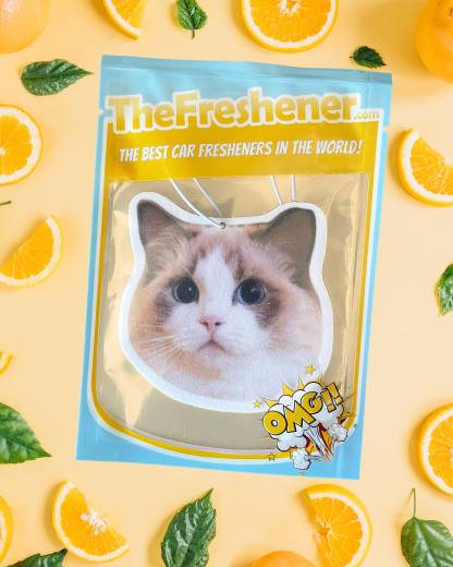 Custom Pet Photo Air Freshener Hanging Air Freshener For Car