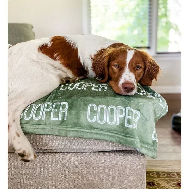 Personalized Blanket for Dog, Dog Blanket, Plush Dog Name Blanket