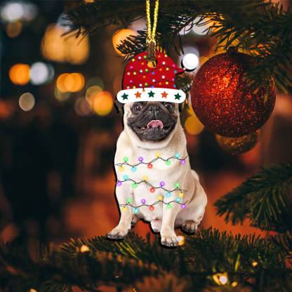 Pet With Hat - Custom Photo Personalized Acrylic Ornament - Gift For Christmas Pet Lover Gift