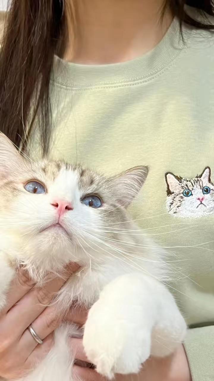 Custom Pet Portrait Embroidered Sweatshirt – Free Name Personalization on Sleeve