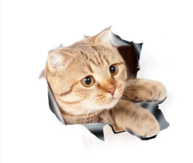 【10 SZTUK】 NAKLEJKA NA SAMOCHÓD 3D 3D Z KOTKIEM