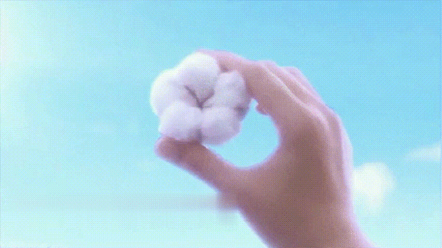 1615960677350768.gif
