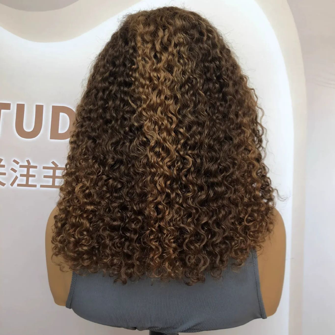 Jerry Curly Curl Remy Human Hair 13x4 Lace Front Wig Highlight Color WIGLTD