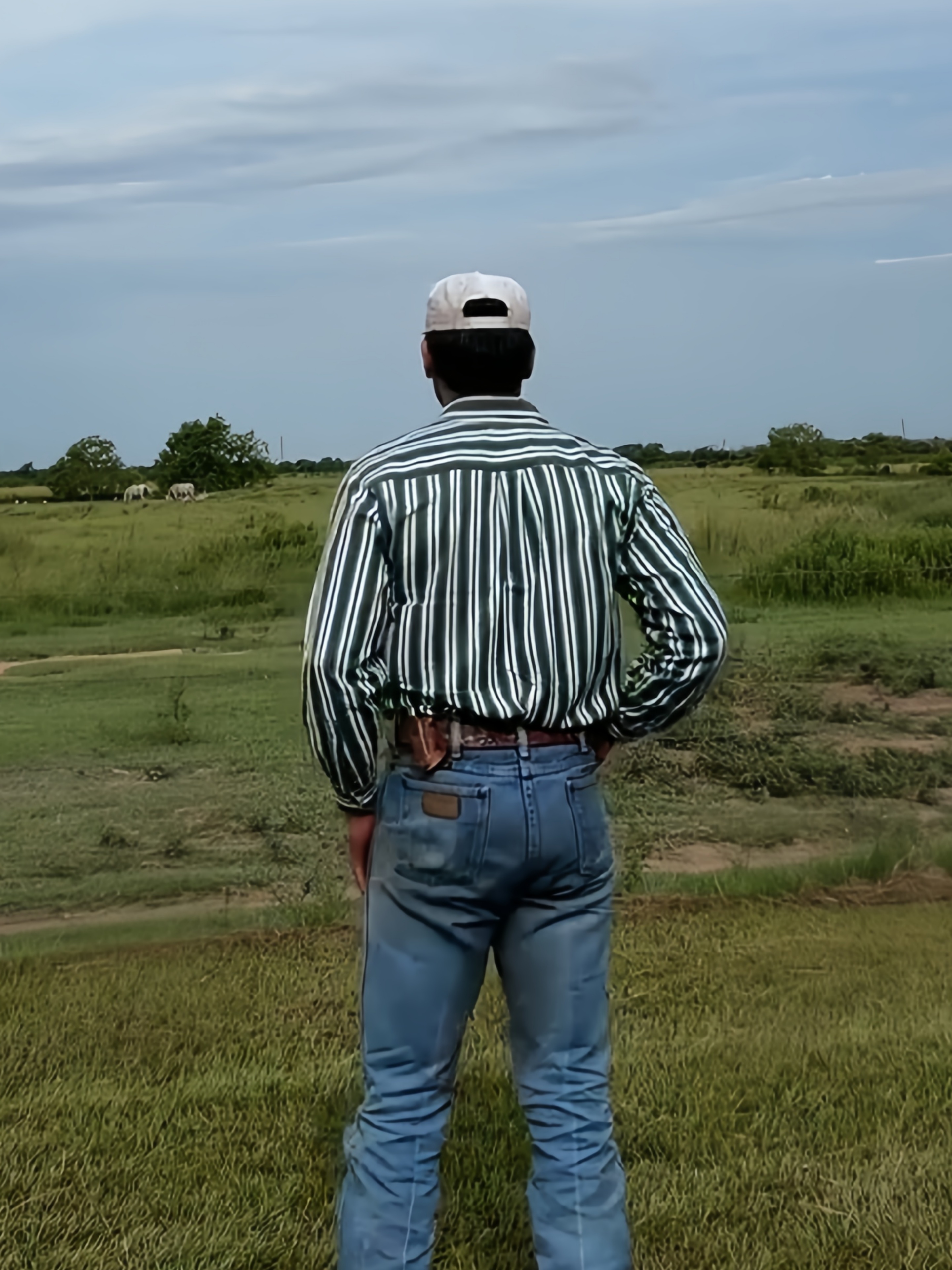 Men Retro Green Stripe Western Style Button Down Shirt