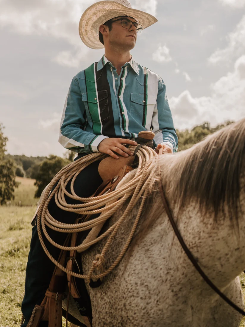 Bold Multi Color Striped Long Sleeve Western Shirt