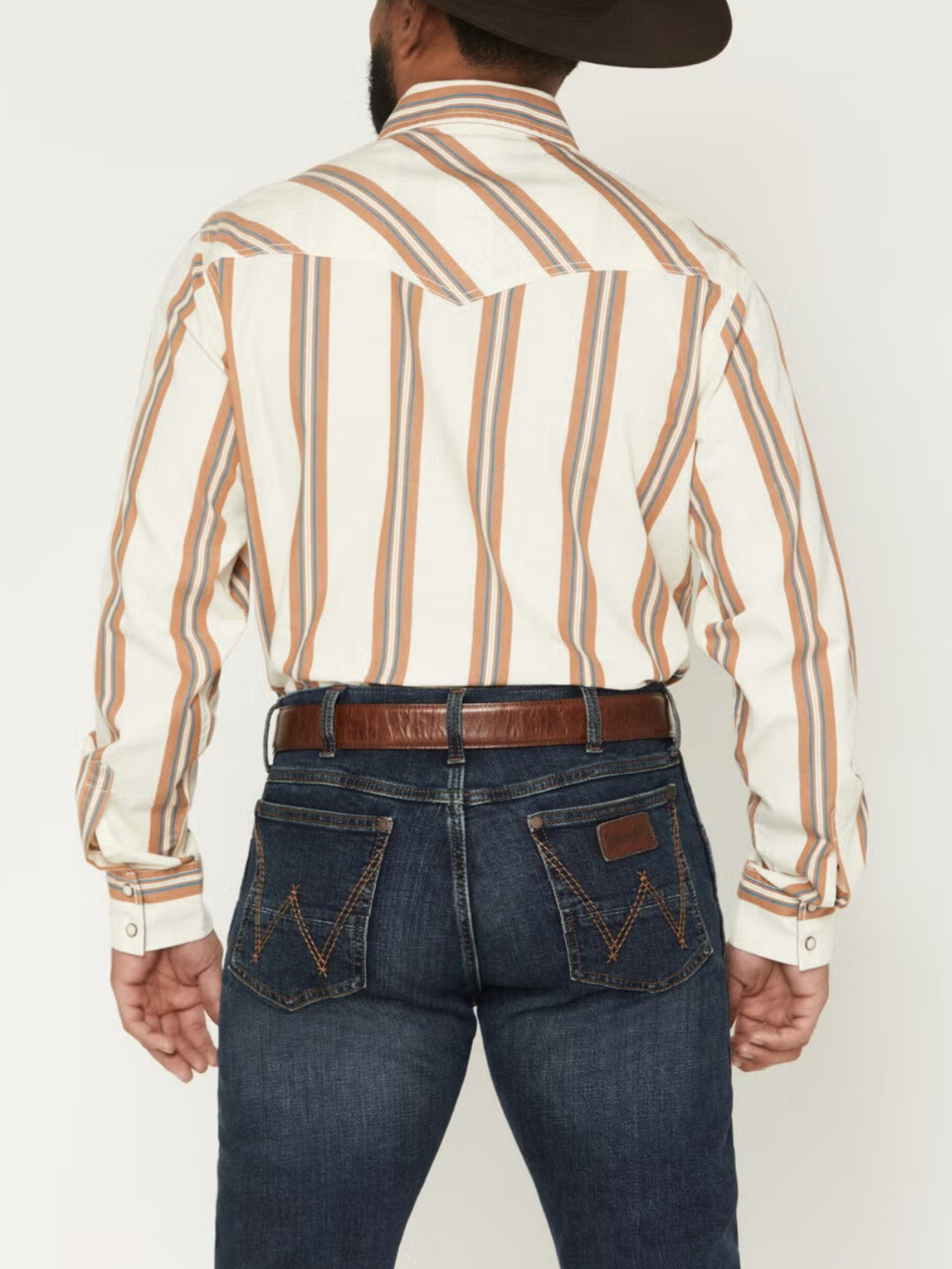 Retro Stripe Print Long Sleeve Snap Western Shirt