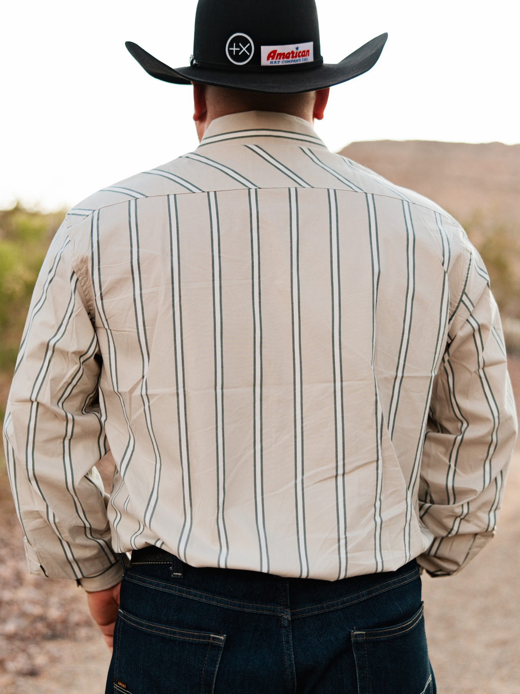Vintage Beige Green Striped Western Cowboy Shirt