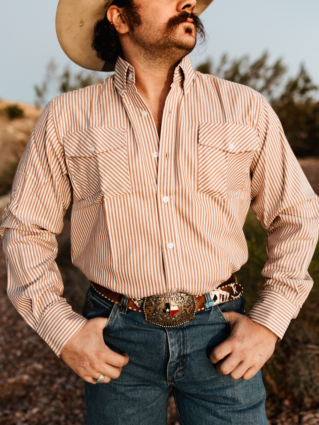 Vintage Tan Striped Western Cowboy Shirt
