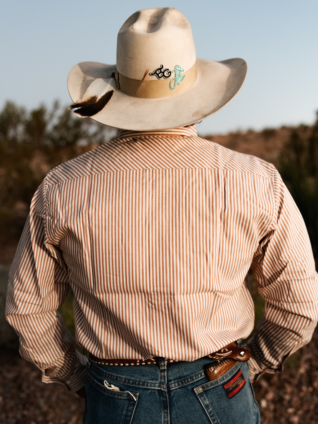 Vintage Tan Striped Western Cowboy Shirt