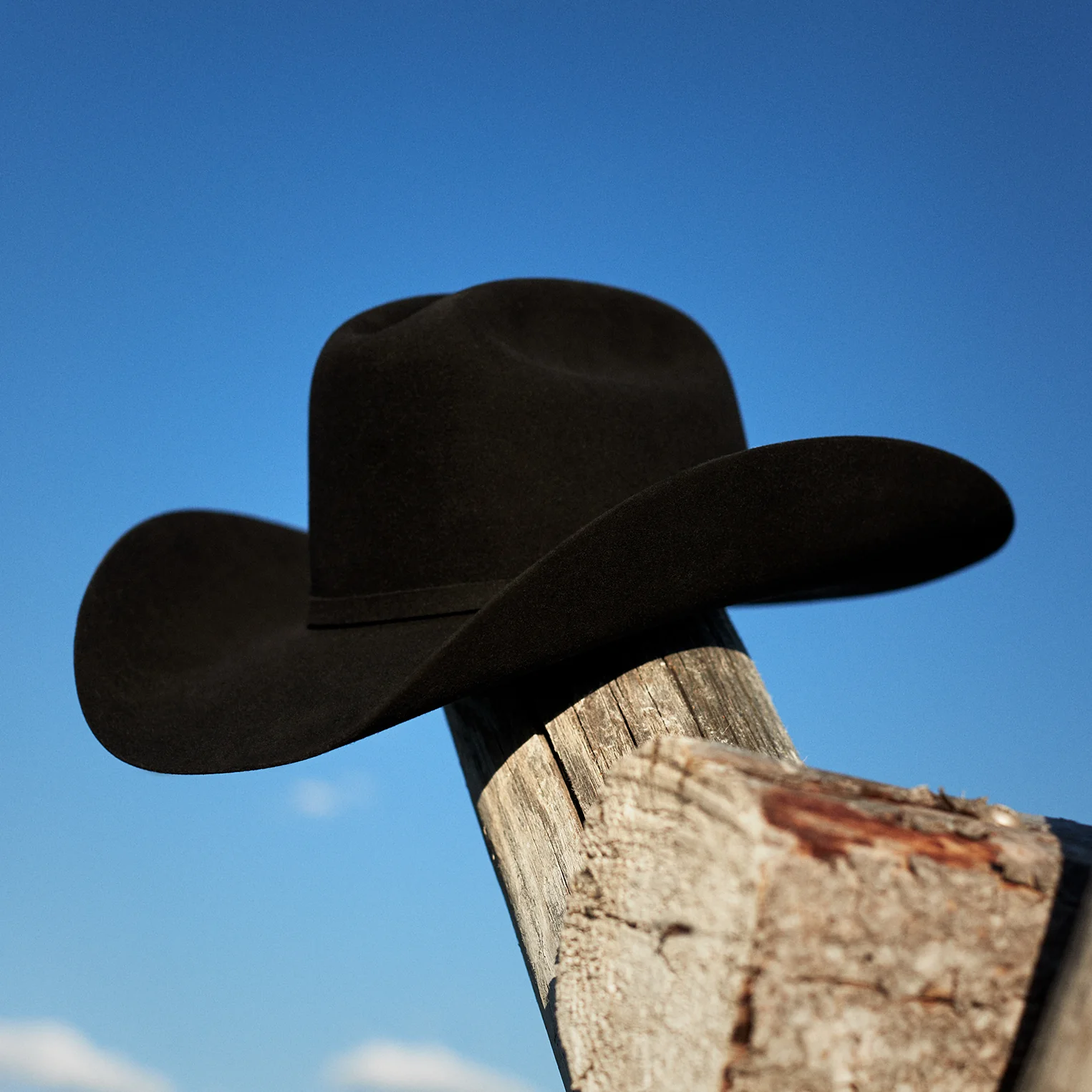 Cowboy Hat