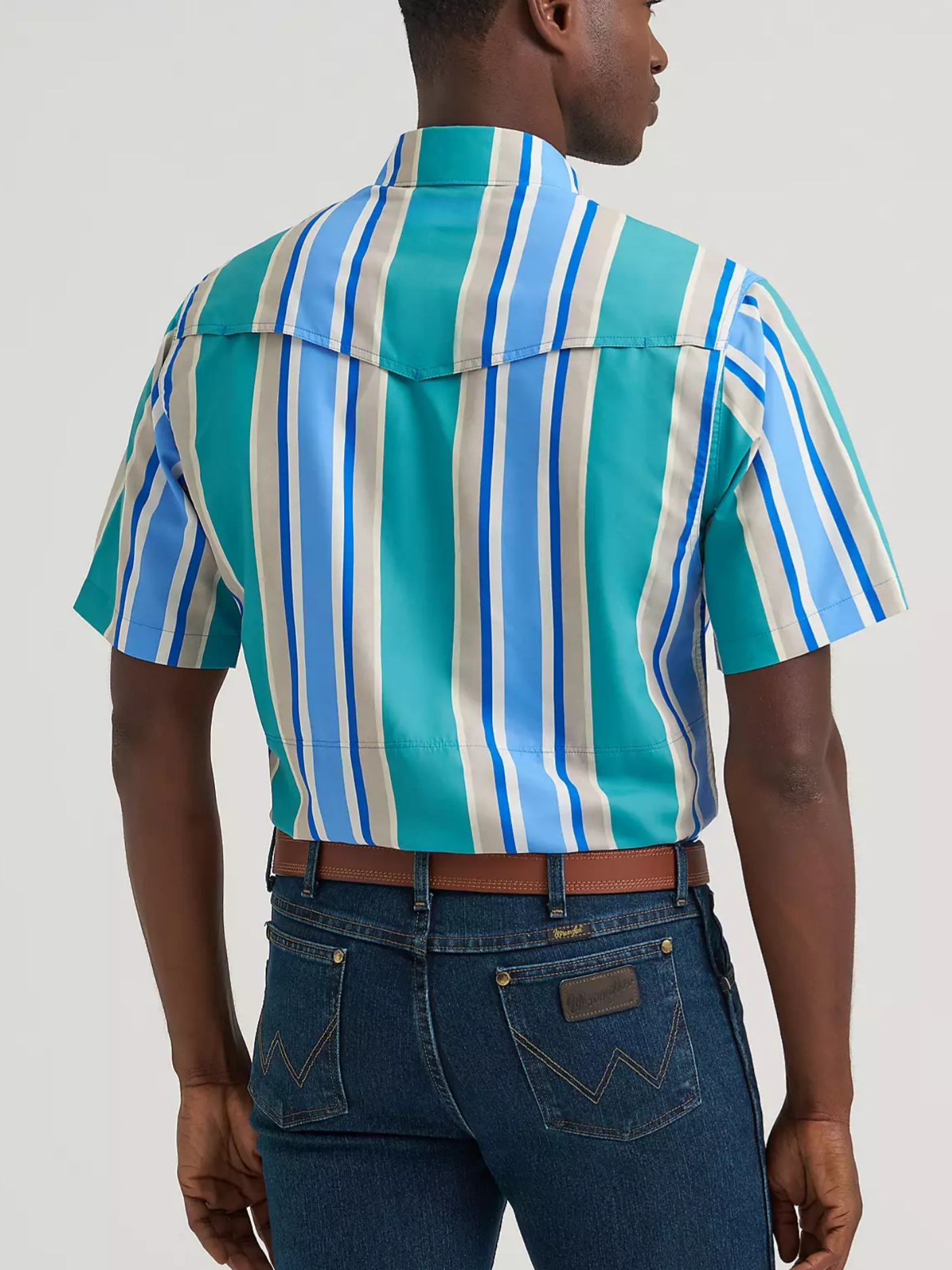 Men's Stripe Performance Snap Shirt