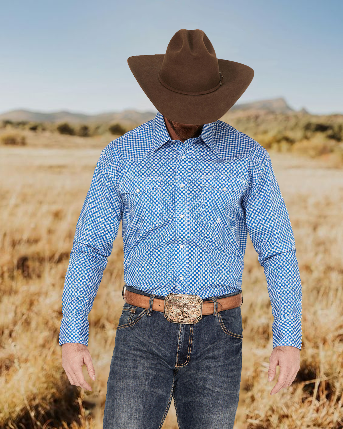 Men's Retro Western Light Blue Plaid Print Casual Lapel Long Sleeve Shirt