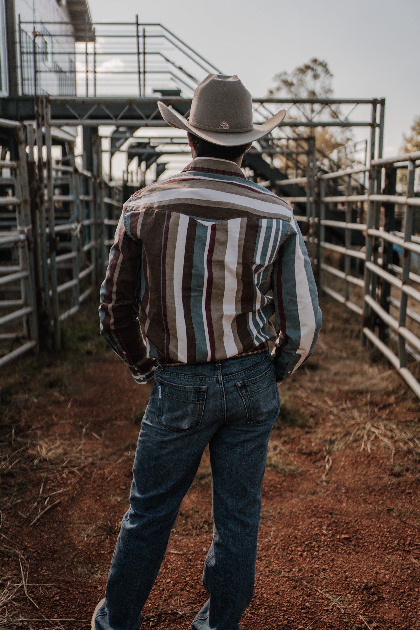 Wrangler Brushpopper  Earth Men's Snap Up