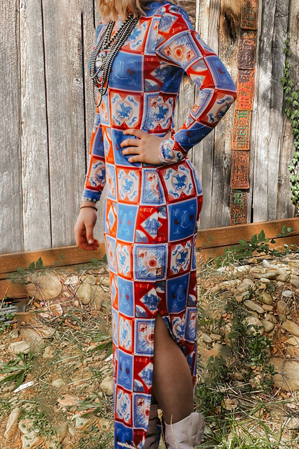 Western Print Slit Mesh Dress