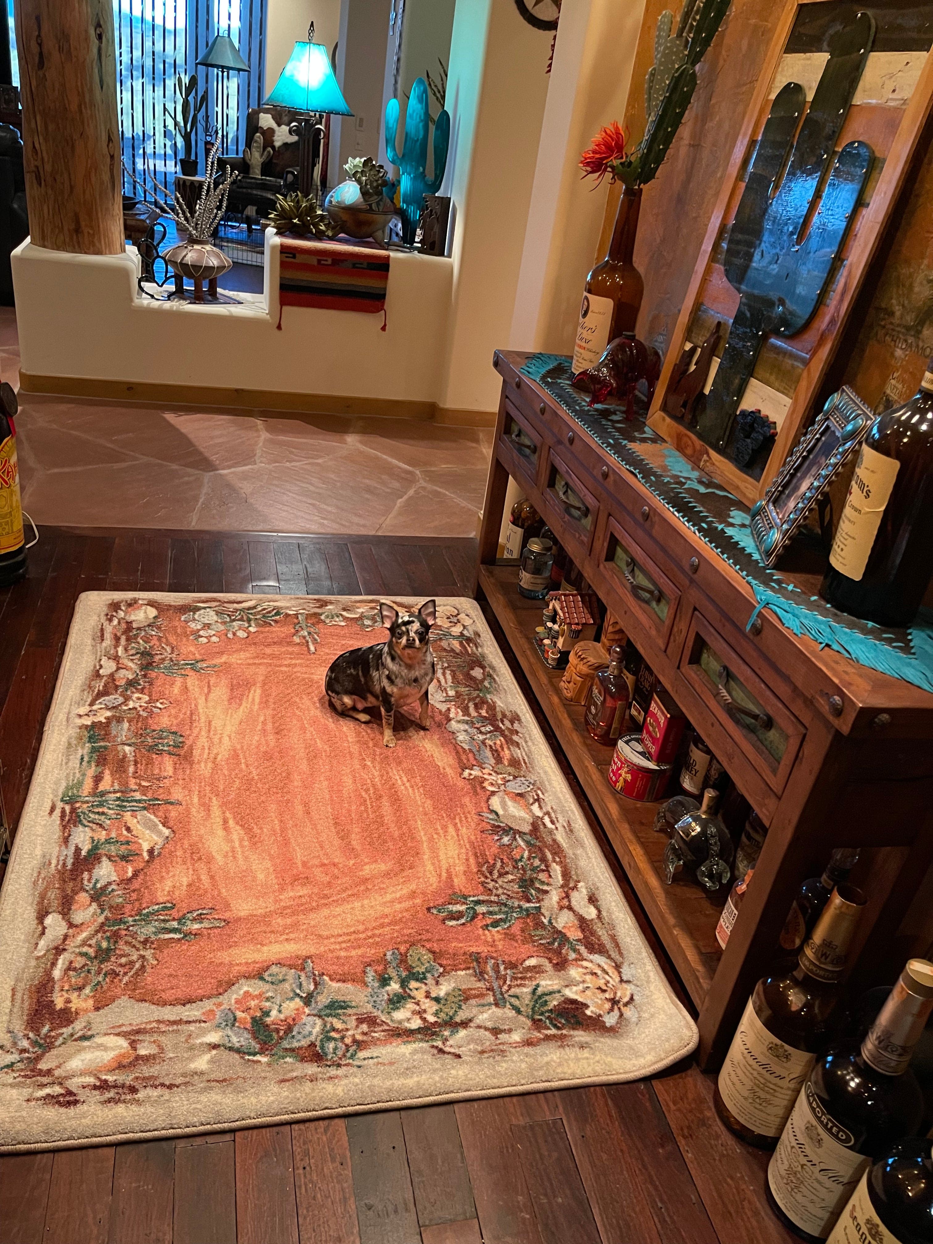 Desert canvas CLAY area RUG