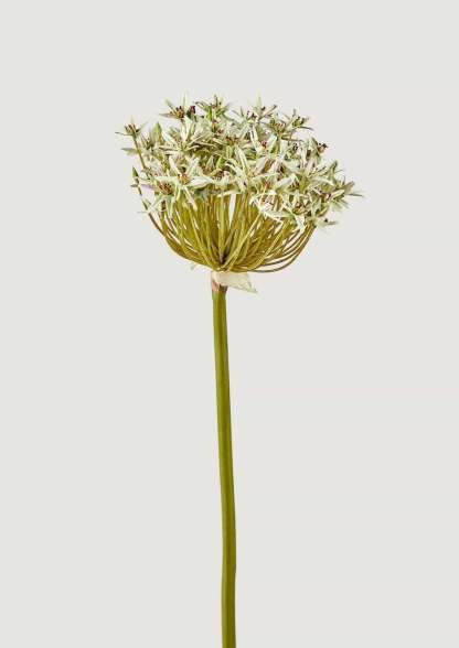 Artificial Allium Flower in Green - 36