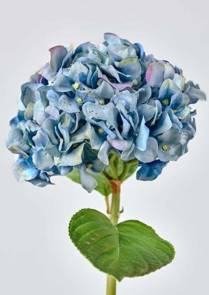 Nantucket Blue Real Touch Hydrangea - 18