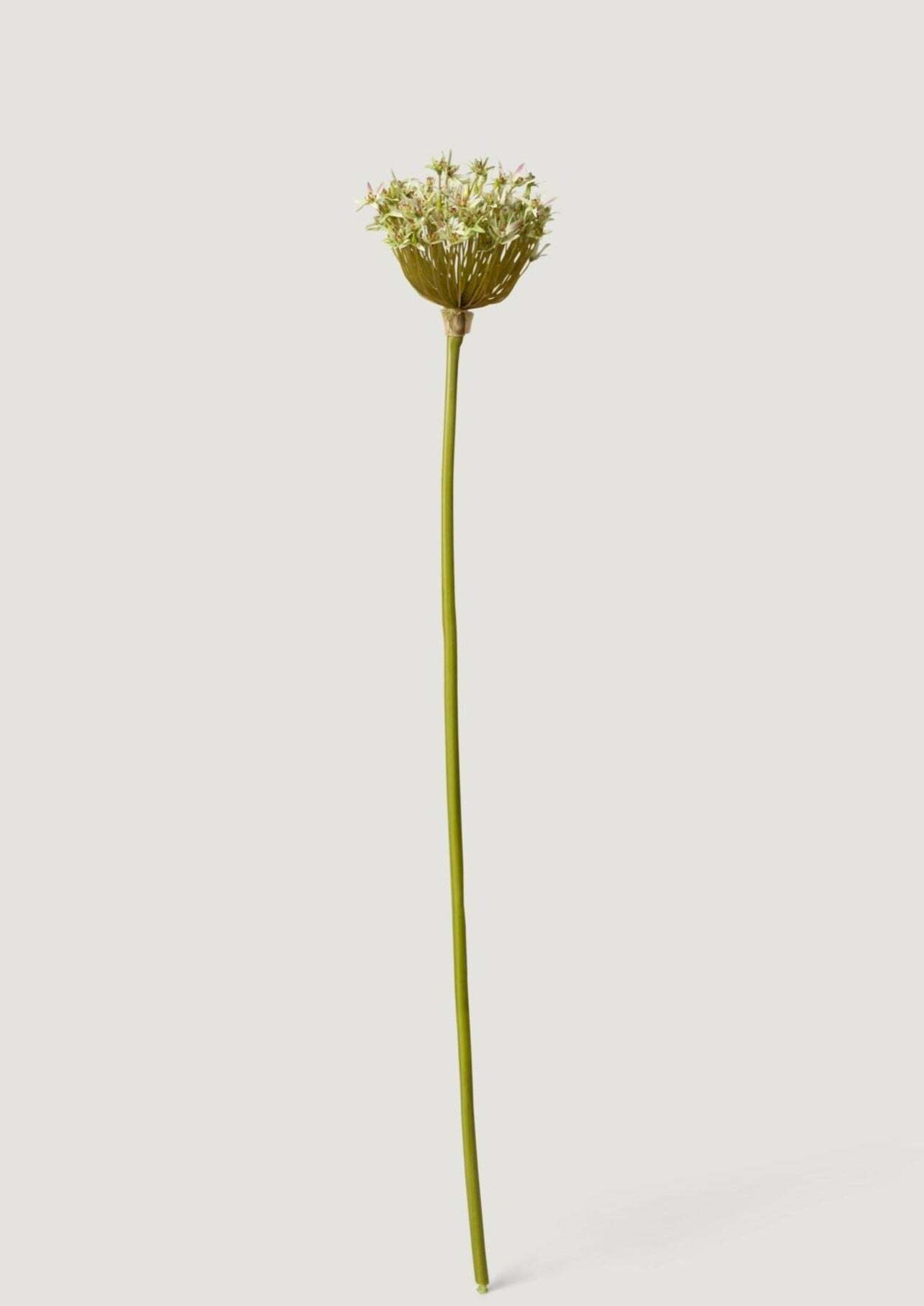 Artificial Allium Flower in Green - 36