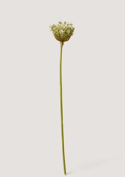 Artificial Allium Flower in Green - 36