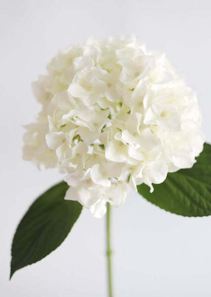 Real Touch Hydrangea in Talc White  - 18