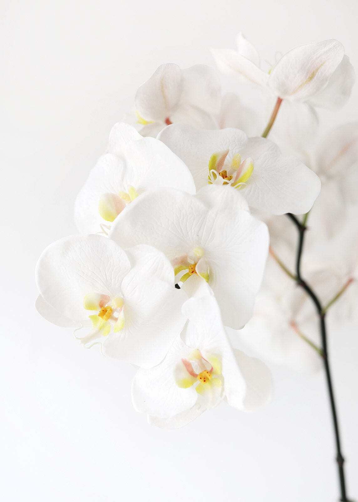 Large White Faux Orchids - 44